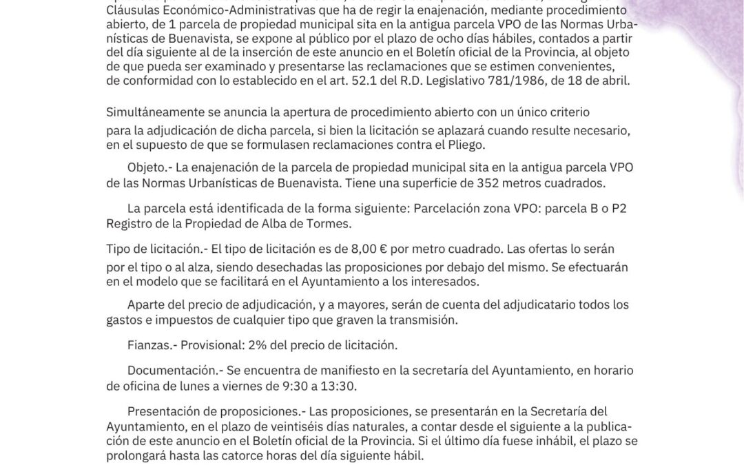 SUBASTA PÚBLICA PARCELA MUNICIPAL